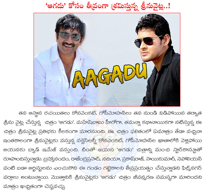 aagadu,srinu vaitla,mahesh babu,aagadu telugu movie,srinu vaitla heavy fight for aagadu,aagadu telugu movie details,srinu vaitla with mahesh babu  aagadu, srinu vaitla, mahesh babu, aagadu telugu movie, srinu vaitla heavy fight for aagadu, aagadu telugu movie details, srinu vaitla with mahesh babu